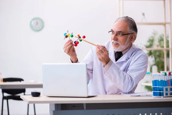 研究分子模型的老男性科学家 — 图库照片