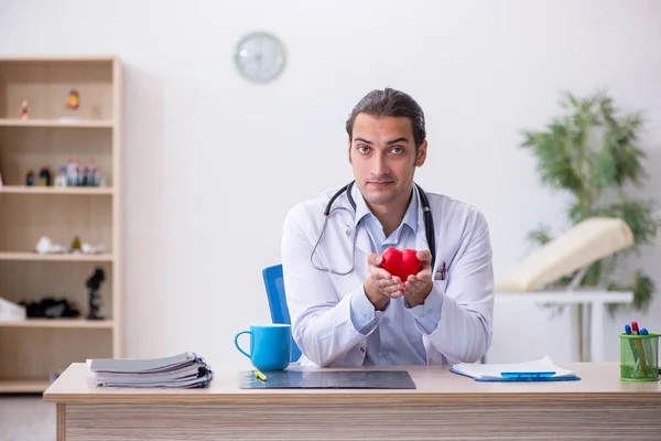 Jovem médico cardiologista masculino segurando modelo de coração — Fotografia de Stock