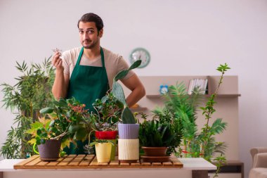 Evin içinde bitkileri olan genç bir erkek bahçıvan.