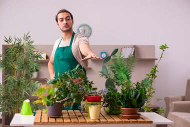 Evin içinde bitkileri olan genç bir erkek bahçıvan.