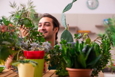 Evin içinde bitkileri olan genç bir erkek bahçıvan.