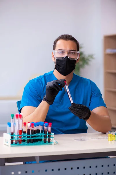 Junger männlicher Biochemiker testet Blutproben — Stockfoto