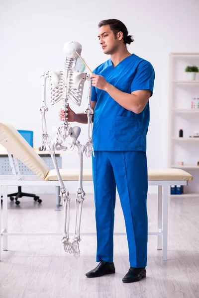 骨格を示す若い男性医師の講師 — ストック写真