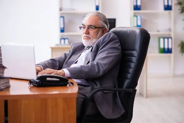 Viejo hombre de negocios empleado que trabaja en la oficina —  Fotos de Stock