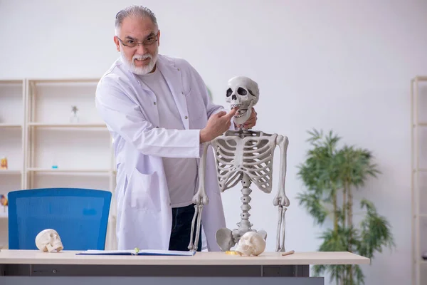 Velho professor de anatomia masculina demonstrando esqueleto humano — Fotografia de Stock