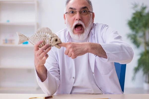 Viejo profesor divertido de zoología masculina demostrando esqueleto de pescado — Foto de Stock