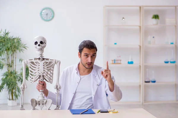 Joven médico varón demostrando esqueleto humano —  Fotos de Stock