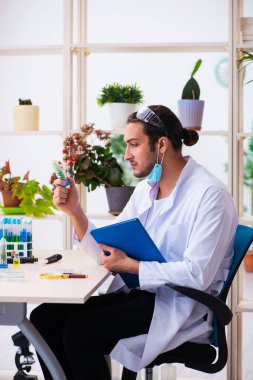 Laboratuvarda çalışan genç erkek kimyager parfümcüsü.