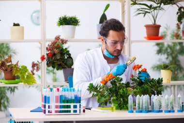 Laboratuvarda çalışan genç erkek kimyager parfümcüsü.