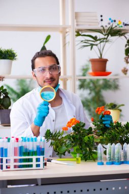 Laboratuvarda çalışan genç erkek kimyager parfümcüsü.