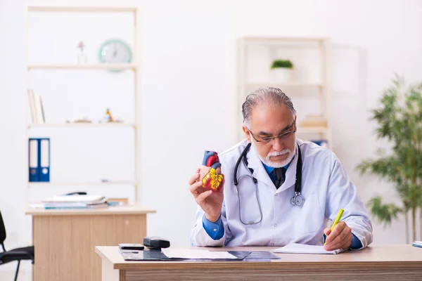 Starý lékař kardiolog drží srdeční model — Stock fotografie