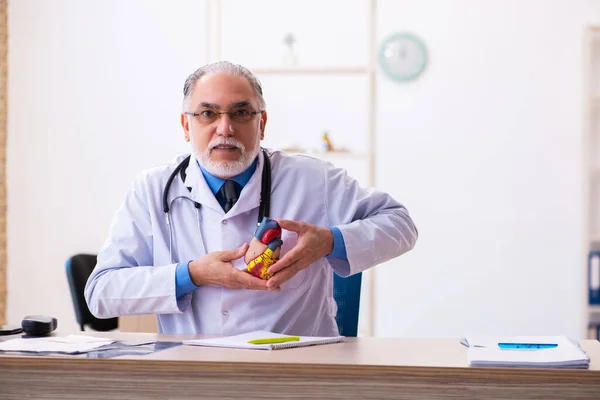 Velho médico cardiologista masculino segurando modelo de coração — Fotografia de Stock