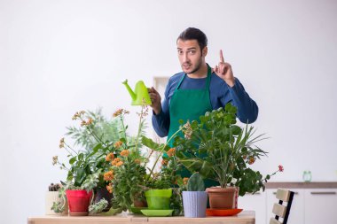 Evin içinde bitkileri olan genç bir erkek bahçıvan.