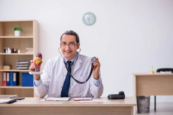 Junger Arzt Kardiologe hört Herzmodell mit Stetho — Stockfoto