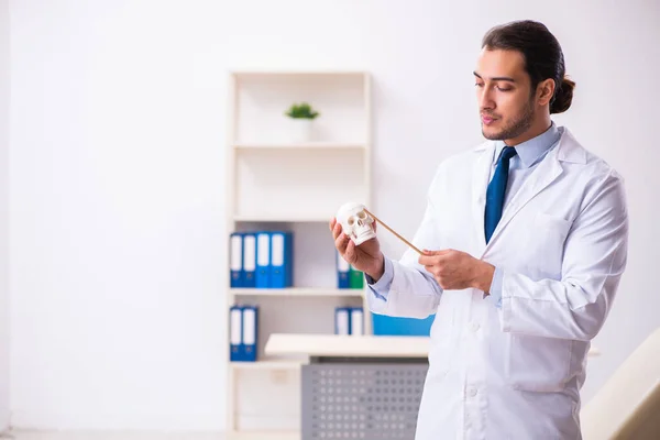 Young male doctor holding skull