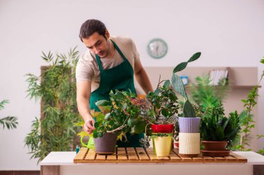 Evin içinde bitkileri olan genç bir erkek bahçıvan.
