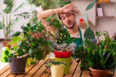 Evin içinde bitkileri olan genç bir erkek bahçıvan.