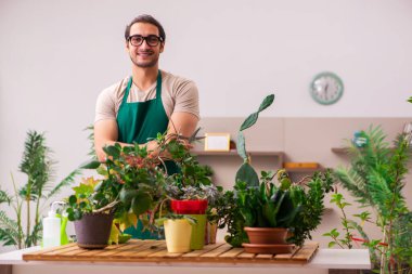 Evin içinde bitkileri olan genç bir erkek bahçıvan.