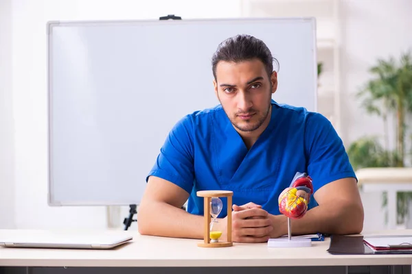 Junge Ärztin lehrt Kardiologen vor Whiteboard — Stockfoto