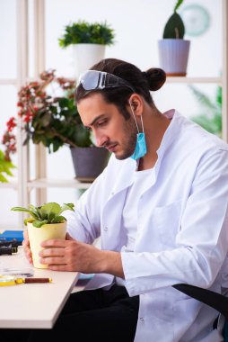 Laboratuvarda çalışan genç erkek kimyager parfümcüsü.