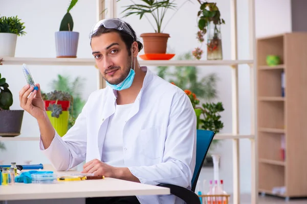 Jonge mannelijke chemicus parfumeur die in het lab werkt — Stockfoto