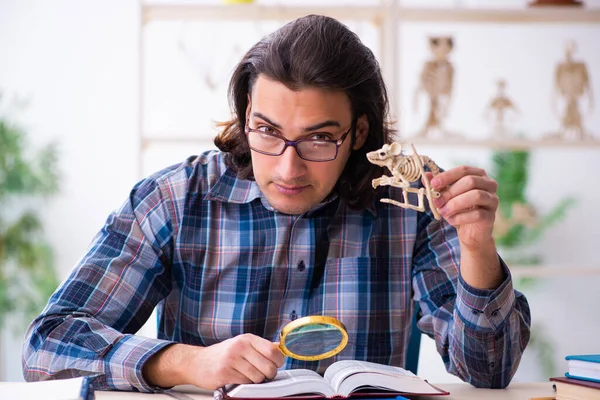 Junge männliche Lehrer Paläontologe im Klassenzimmer — Stockfoto