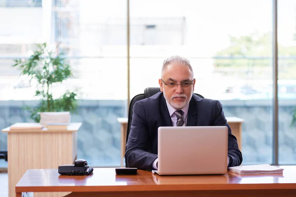 Vieil homme d'affaires employé travaillant dans le bureau — Photo