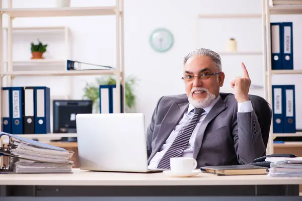 Old male employee working in the office — Stock Photo, Image