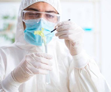 Bitkiler üzerinde çalışan erkek biyokimyacı.