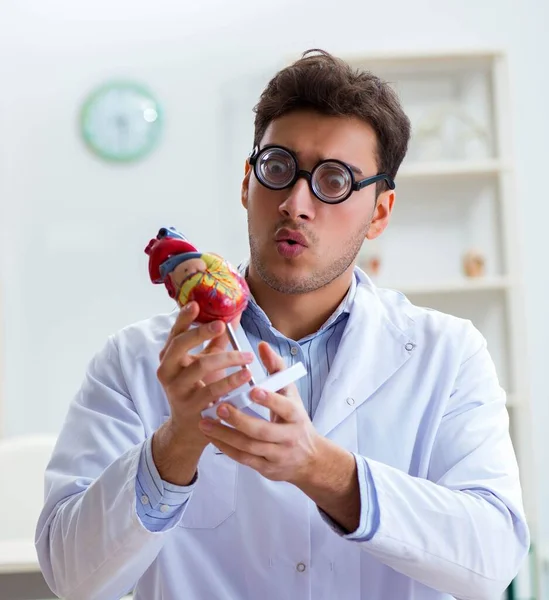 Médico loco con modelo de corazón — Foto de Stock