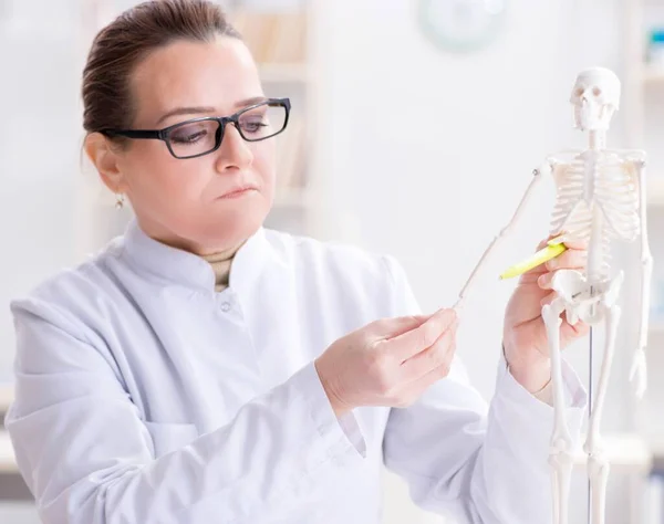 Doctora estudiando esqueleto humano — Foto de Stock