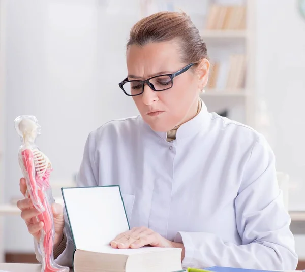 Kvinna läkare studerar mänskligt skelett — Stockfoto