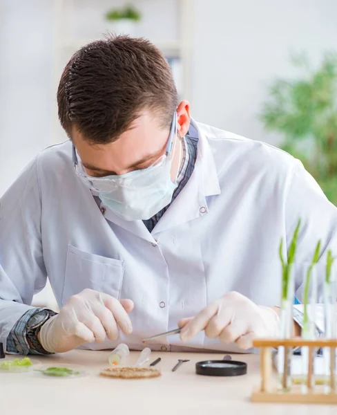 Bioquímico masculino trabajando en el laboratorio de plantas —  Fotos de Stock