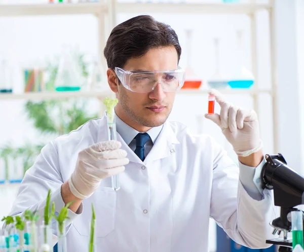 Mannelijke biochemicus werkzaam in het lab op planten — Stockfoto