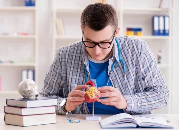 Estudiante de medicina estudiando corazón en el aula durante la conferencia —  Fotos de Stock