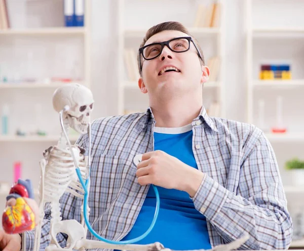 Estudante de medicina estudando esqueleto em sala de aula durante palestra — Fotografia de Stock