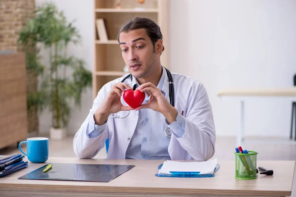 Joven médico cardiólogo sosteniendo modelo de corazón —  Fotos de Stock
