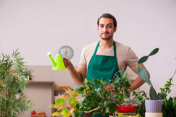 Jovem jardineiro masculino com plantas dentro de casa — Fotografia de Stock