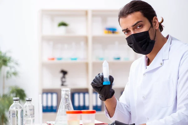 Jonge mannelijke chemicus werkzaam in het lab — Stockfoto