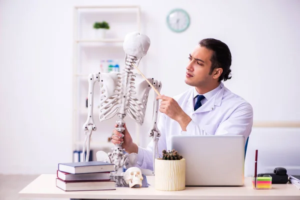 Jonge mannelijke arts die menselijk skelet bestudeert — Stockfoto