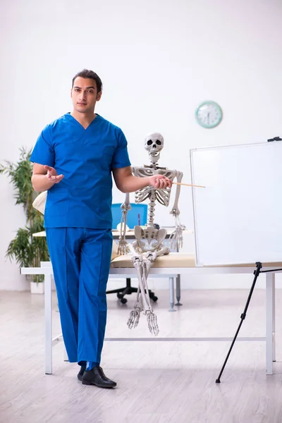 骨格を示す若い男性医師の講師 — ストック写真