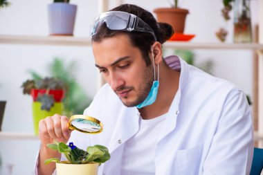 Laboratuvarda çalışan genç erkek kimyager parfümcüsü.