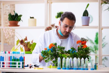 Laboratuvarda çalışan genç erkek kimyager parfümcüsü.