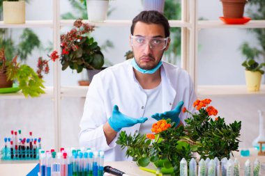 Laboratuvarda çalışan genç erkek kimyager parfümcüsü.