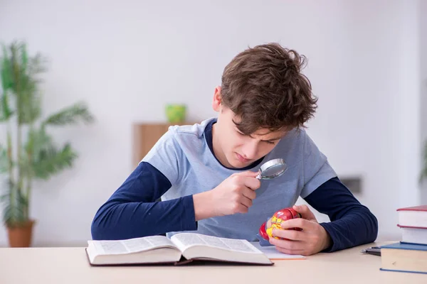 Schooljongen die thuis hartmodel studeert — Stockfoto