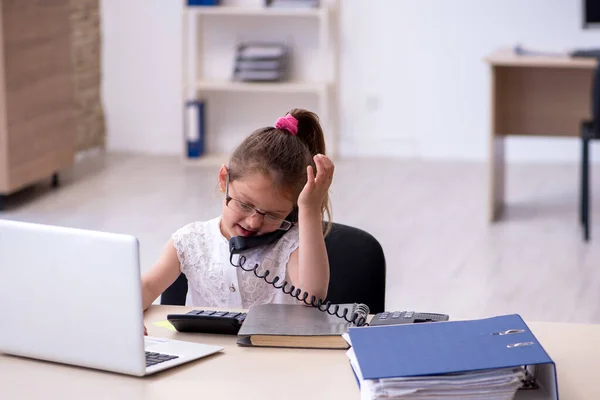 Grappig klein meisje accountant werken in het kantoor — Stockfoto