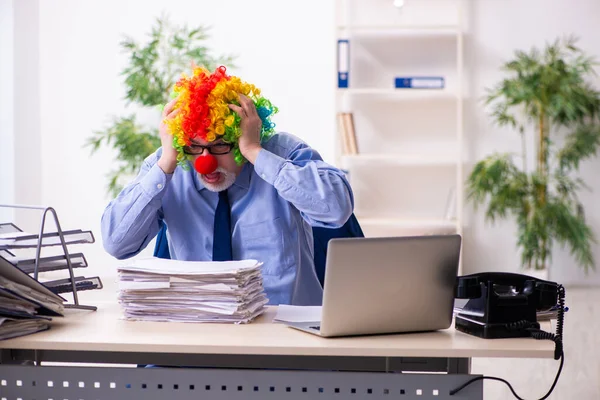 Vieil homme d'affaires clown travaillant dans le bureau — Photo