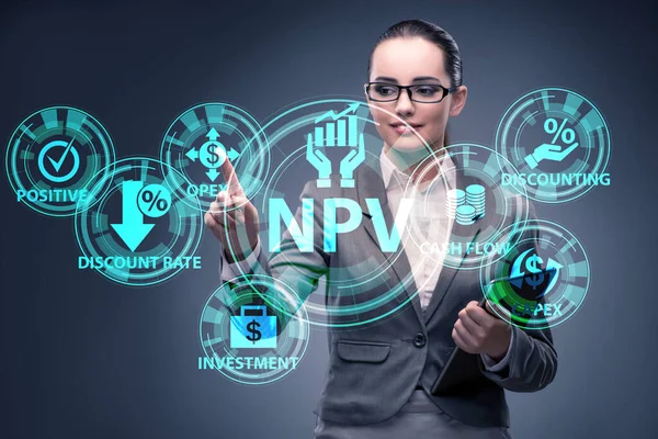 NPVの概念- Net Present Value — ストック写真