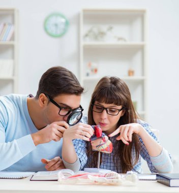 Sınıfta okuyan iki tıp öğrencisi.