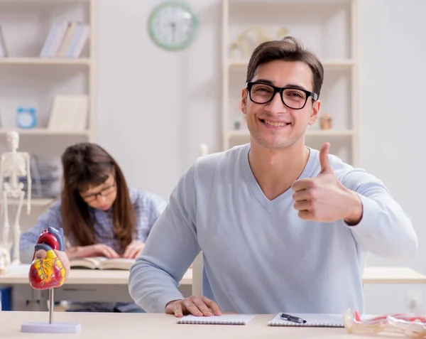 Zwei Medizinstudenten studieren im Hörsaal — Stockfoto